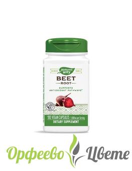 ХРАНИТЕЛНИ ДОБАВКИ Антиоксиданти  Beet Root/ Червено цвекло (корен) 500 mg х 100 капсули